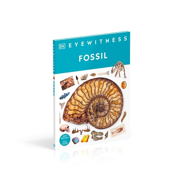 [object Object] «Fossil» - фото №3 - миниатюра