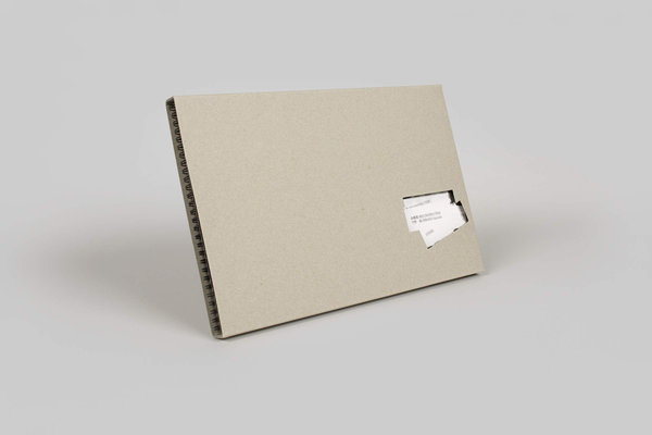 Паперова книга «Satoshi Hirano. Reconstruction. Shibuya, 2014-2017», автор Сатоши Хірано - фото №1