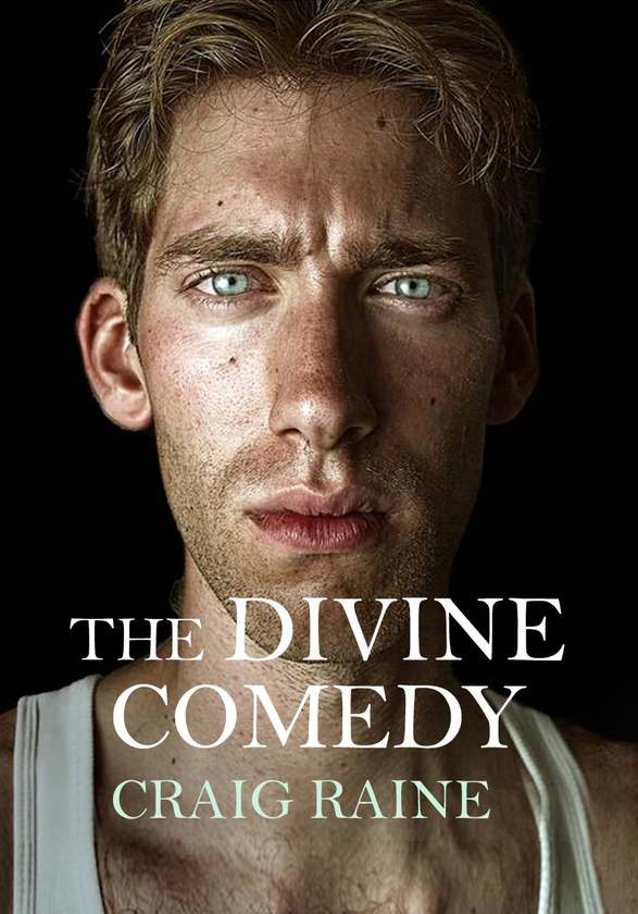 Бумажная книга «The Divine Comedy», автор Крэйг Рейн - фото №1