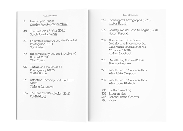 Бумажная книга «The Lives of Images, Vol. II: Analogy, Attunement, and Attention» - фото №1