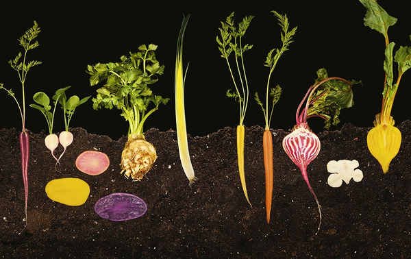 Бумажная книга «Photography of Modernist Cuisine», автор Натан Мирволд - фото №1