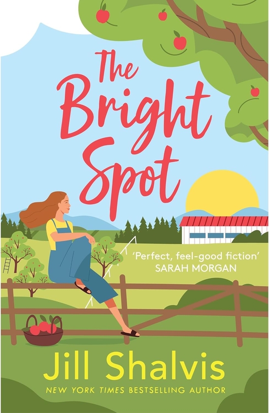 Бумажная книга «The Bright Spot », автор Джилл Шелвис - фото №1