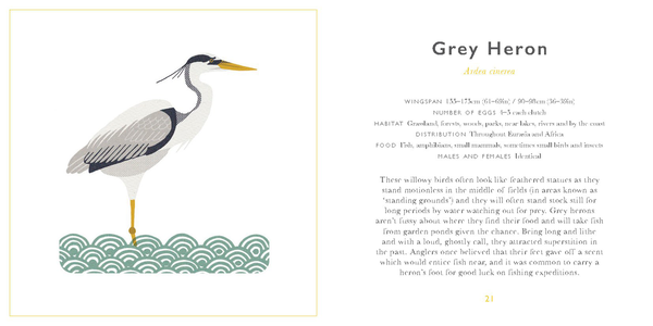 Бумажная книга «Little Guide to Birds», автор Элисон Дэвис - фото №1