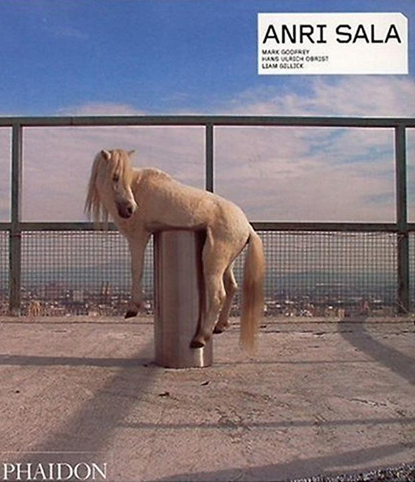 Бумажная книга «Anri Sala», автор Анри Сала - фото №1