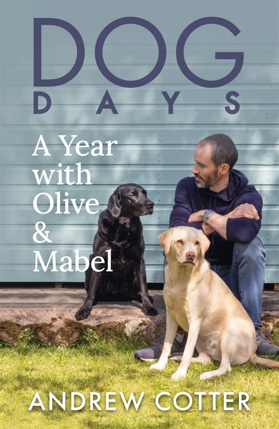 Бумажная книга «Dog Days. A Year with Olive & Mabel», автор Эндрю Коттер - фото №1