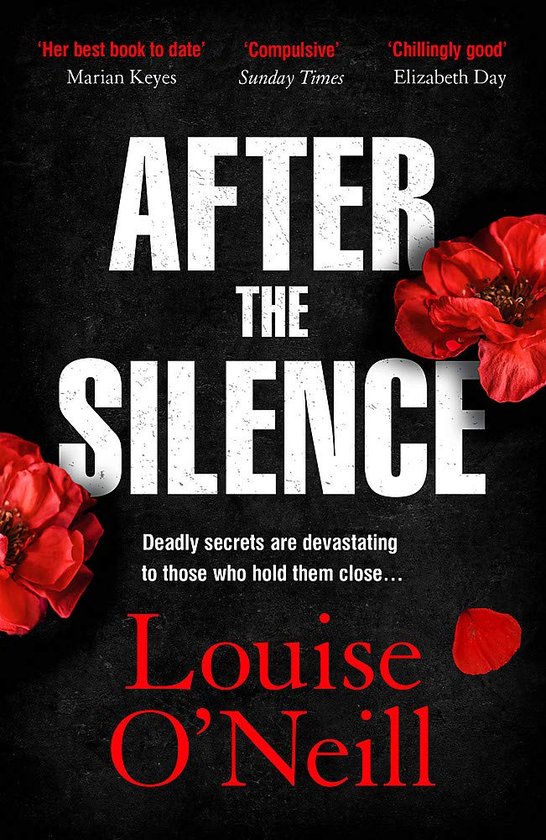 Паперова книга «After the Silence», автор Луїза О'Нілл - фото №1