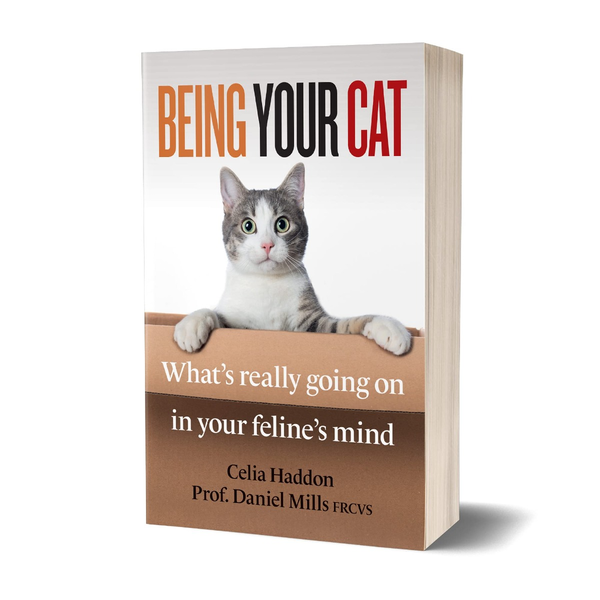 Паперова книга «Being Your Cat», авторів Селія Хеддон, Деніел Міллс - фото №1