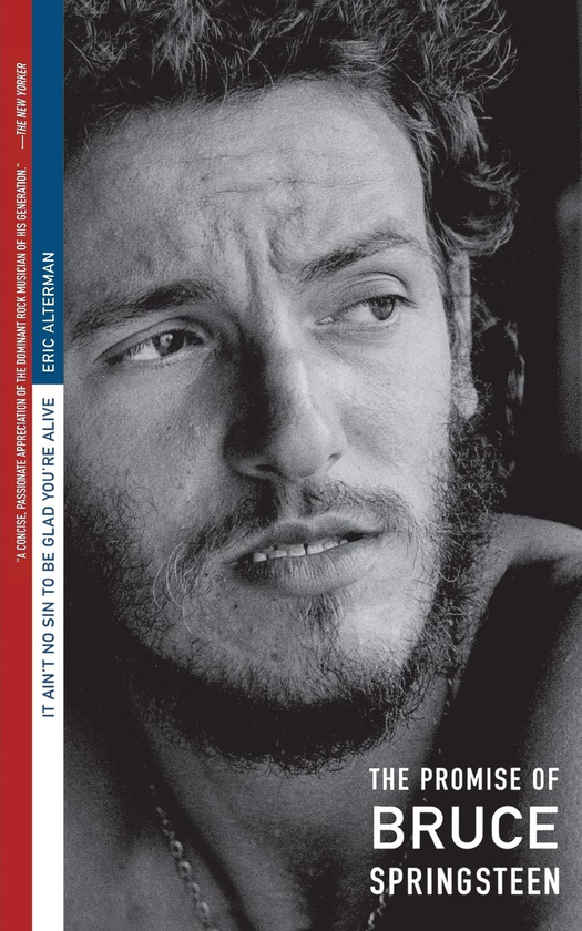 Бумажная книга «It Ain't No Sin...Springsteen», автор Эрик Альтерман - фото №1
