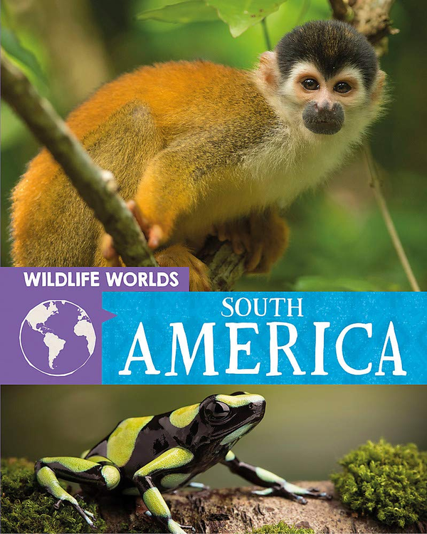 Бумажная книга «South America», автор Тим Харрис - фото №1