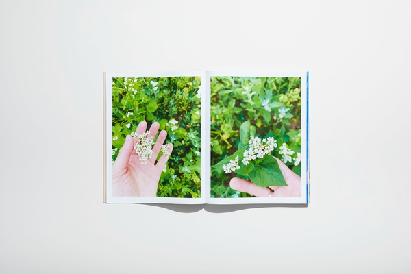 Бумажная книга «Lotus Laurie Kang. In Cascades» - фото №1