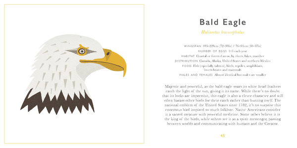 Бумажная книга «Little Guide to Birds», автор Элисон Дэвис - фото №1