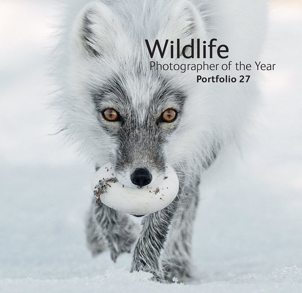 Бумажная книга «Wildlife Photographer of the Year: Portfolio 27», автор Розамунд Кидман Кокс - фото №1
