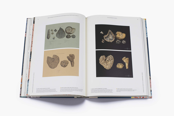 Паперова книга «STRATA. William Smith's Geological Maps» - фото №1