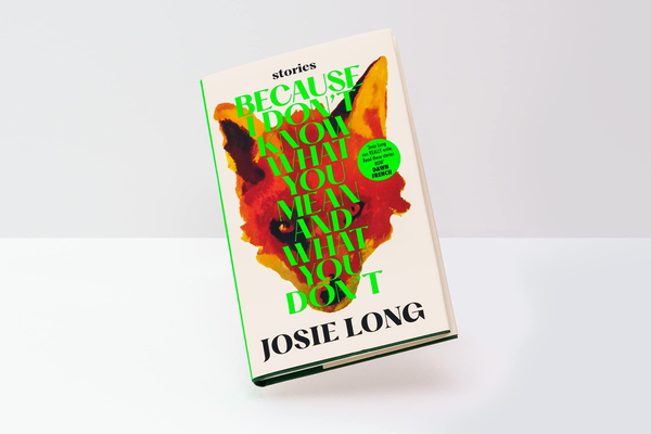 Бумажная книга «Because I don't know what you mean and what you don't», автор Джози Лонг - фото №1