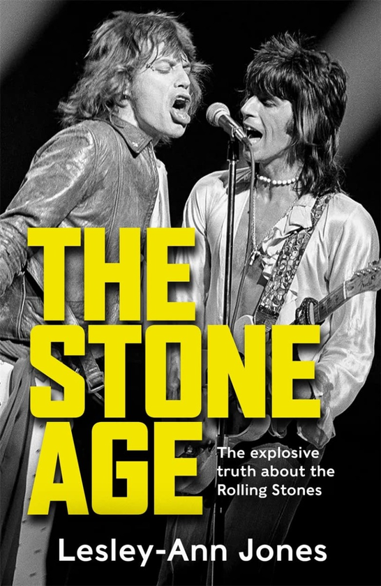 Бумажная книга «THE STONE AGE», автор Лесли-Энн Джонс - фото №1