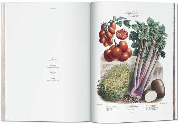 Бумажная книга «Vilmorin, Vegetable Garden» - фото №1