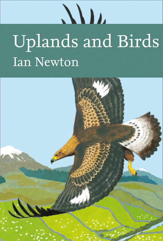 Бумажная книга «Uplands and Birds», автор Ян Ньютон - фото №1
