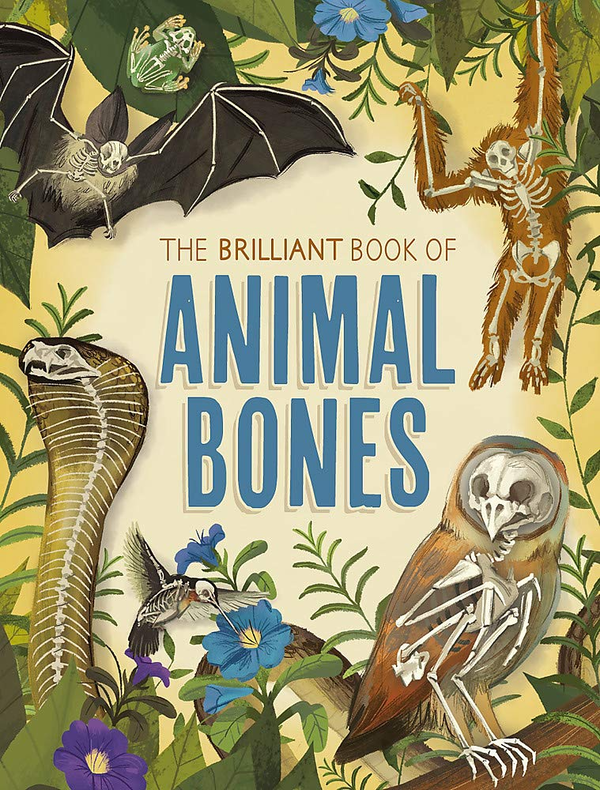 Паперова книга «The Brilliant Book of Animal Bones», автор Анна Клейборн - фото №1