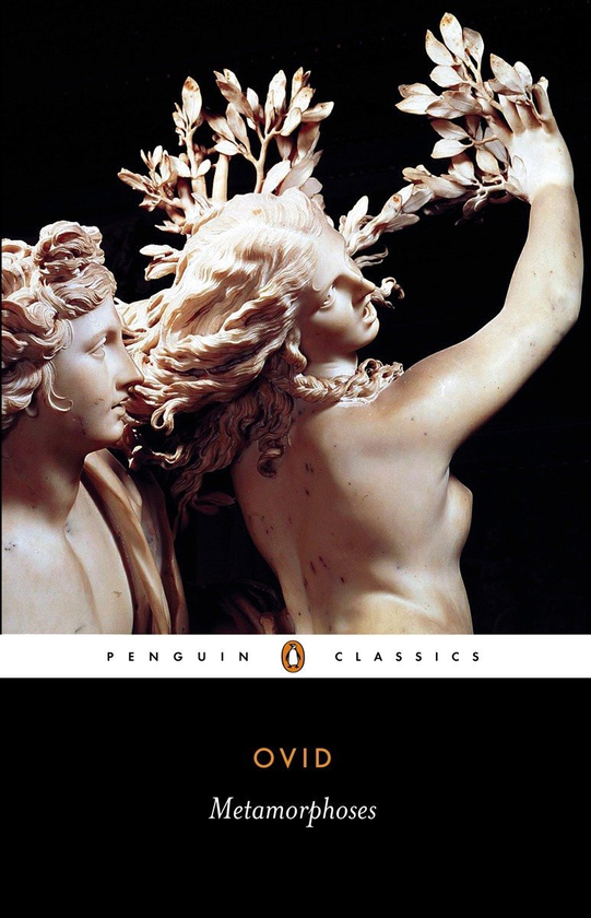 Паперова книга «Metamorphoses», автор Публій Овідій Назон - фото №1