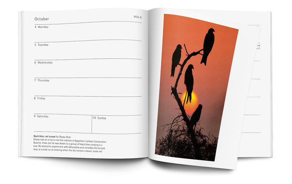 Бумажная книга «Wildlife Photographer of the Year Pocket Diary 2022» - фото №1