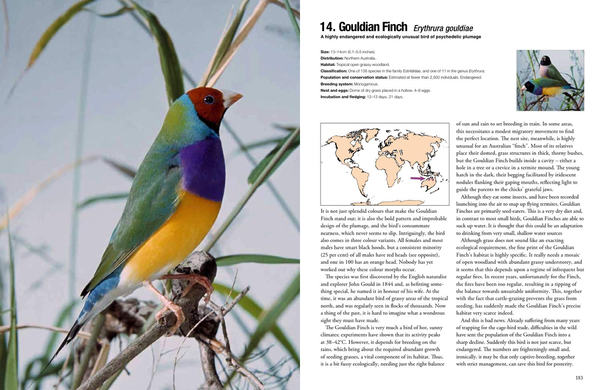 Бумажная книга «100 Birds to See in Your Lifetime: The Ultimate Wish-list for Birders Everywhere», автор Дэвид Чандлер - фото №1