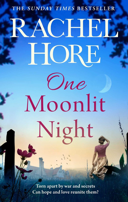 Бумажная книга «One Moonlit Night», автор Рейчел Хор - фото №1