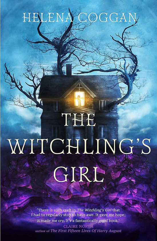 Бумажная книга «The Witchling's Girl», автор Хелена Коган - фото №1