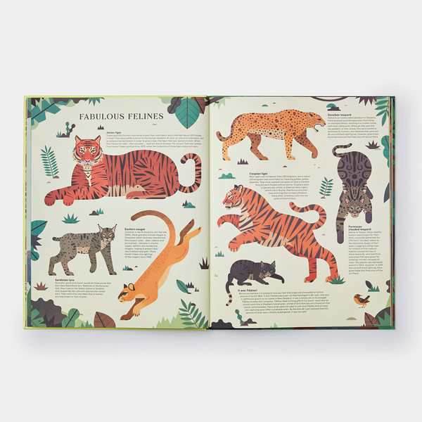 Бумажная книга «Extinct. An Illustrated Exploration of Animals That Have Disappeared», автор Лукас Риера - фото №1