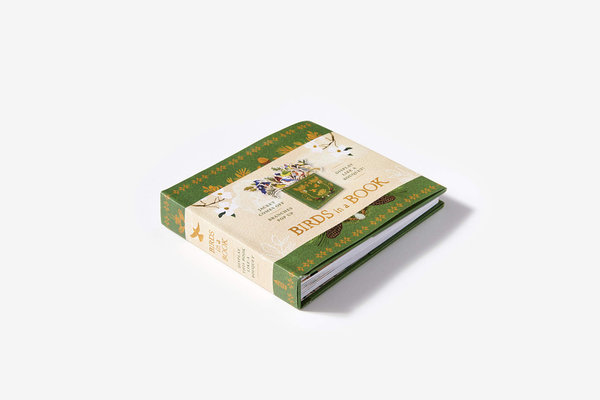 Бумажная книга «Birds in a Book. A Bouquet in a Book. Jacket Comes Off. Branches Pop Up. Display Like a Bouquet!», автор Лесли Эрл - фото №1