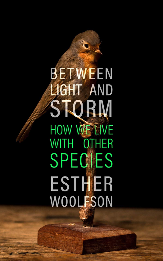 Бумажная книга «Between Light and Storm. How We Live With Other Species», автор Эстер Вулфсон - фото №1
