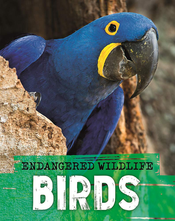 Паперова книга «Endangered Wildlife. Rescuing Birds», автор Аніта Ганері - фото №1