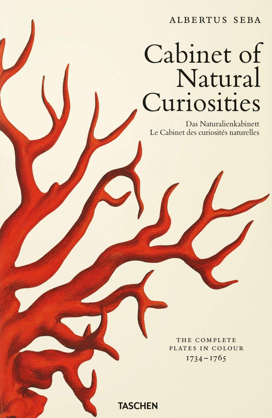 Паперова книга «Seba. Cabinet of Natural Curiosities», авторів Ірмгард Муш, Джес Руст - фото №1