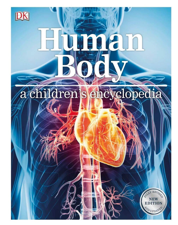 Паперова книга «Human Body A Children's Encyclopedia» - фото №1