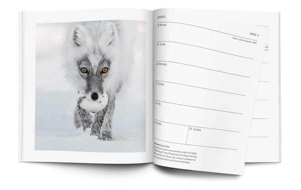 Бумажная книга «Wildlife Photographer of the Year Desk Diary 2022» - фото №1