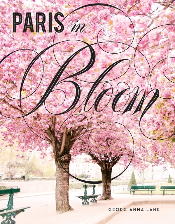 Бумажная книга «Paris in Bloom» - фото №1