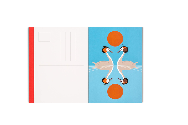 Бумажная книга «I Like Birds: A Puffinry of Postcards: A collection of 20 bird-themed postcards» - фото №1