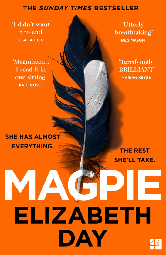Паперова книга «Magpie», автор Елізабет Дей - фото №1