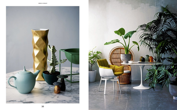 Бумажная книга «Evergreen. Living with Plants » - фото №1