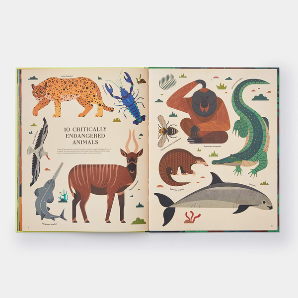 Бумажная книга «Extinct. An Illustrated Exploration of Animals That Have Disappeared», автор Лукас Риера - фото №1