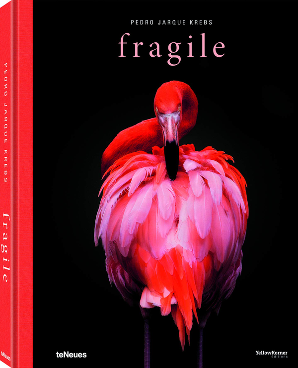 Бумажная книга «Fragile» - фото №1