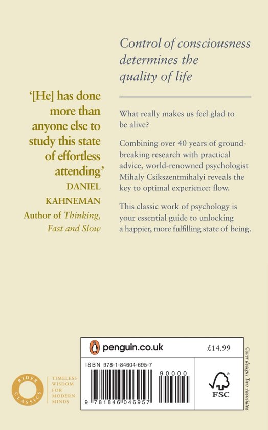 Бумажная книга «Flow. The Psychology of Happiness», автор Михай Чиксентмихайи - фото №1