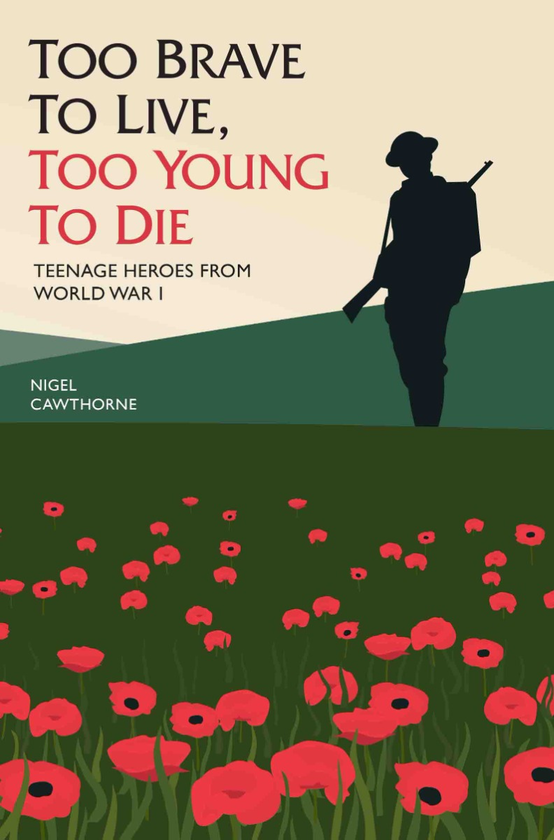 Бумажная книга «Too Brave to Live, Too Young to Die: Teenage Heroes from World War I», автор Найджел Которн - фото №1