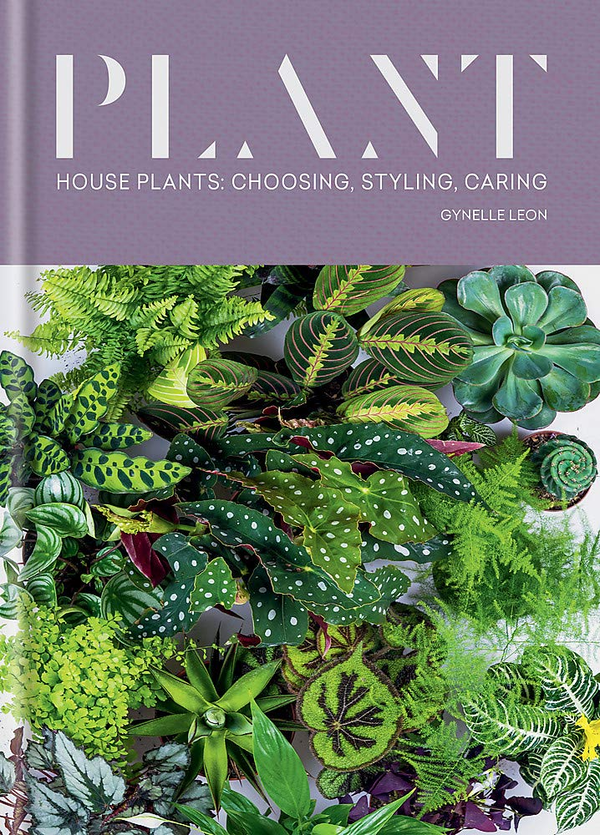 Бумажная книга «Plant. House plants: choosing, styling, caring», автор Жинель Леон - фото №1
