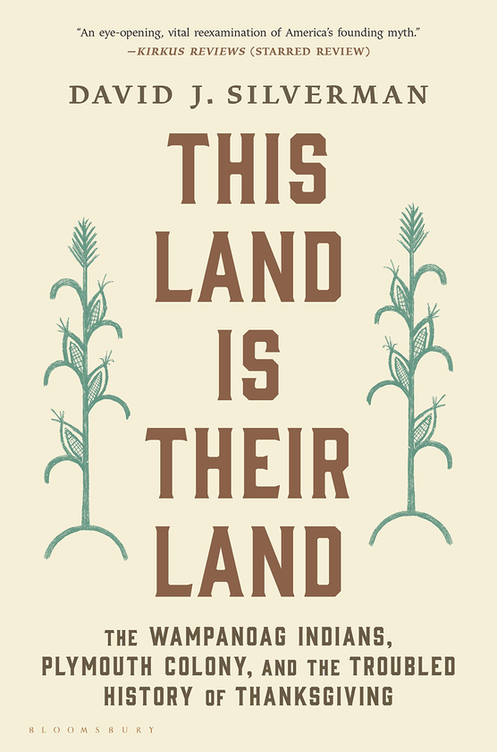 Паперова книга «This Land Is Their Land», автор Девід Дж. Сільверман - фото №1