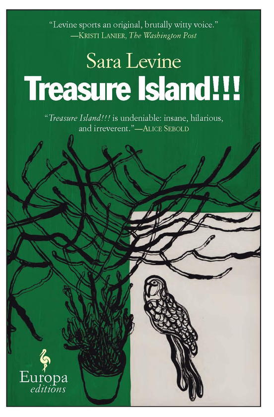 Бумажная книга «Treasure Island!!!», автор Сара Левин - фото №1