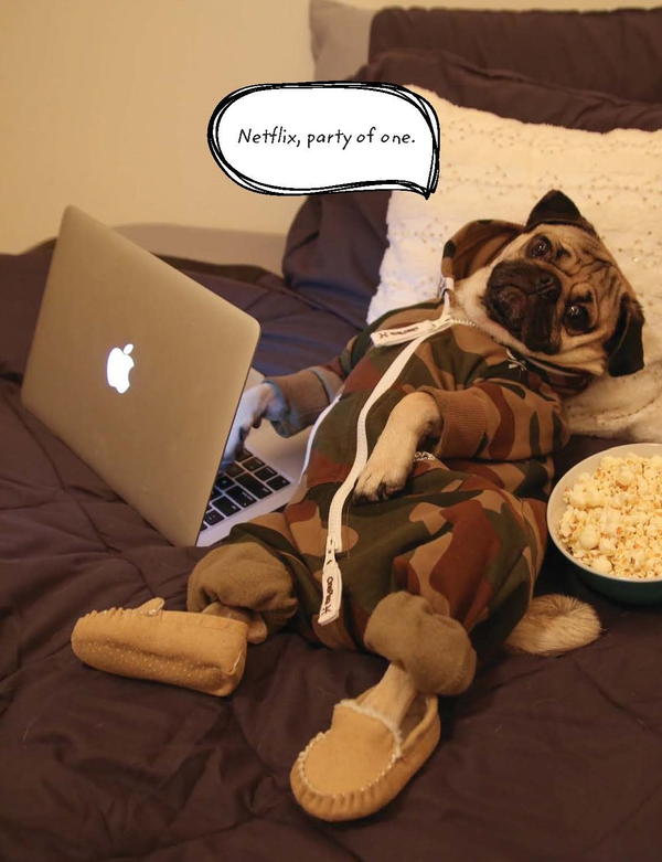 Бумажная книга «Doug The Pug: The King of the Internet», автор Лесли Мосье - фото №1