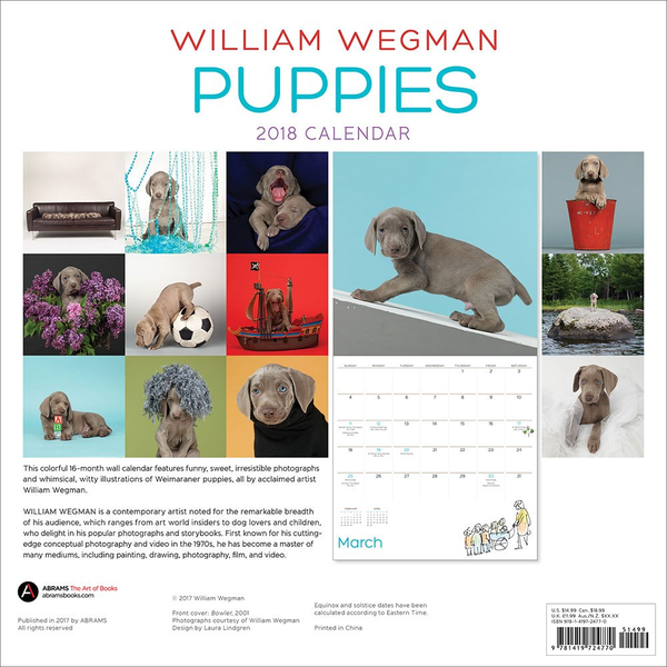 Паперова книга «William Wegman Puppies 2018 Wall Calendar», автор Вільям Веґман - фото №1