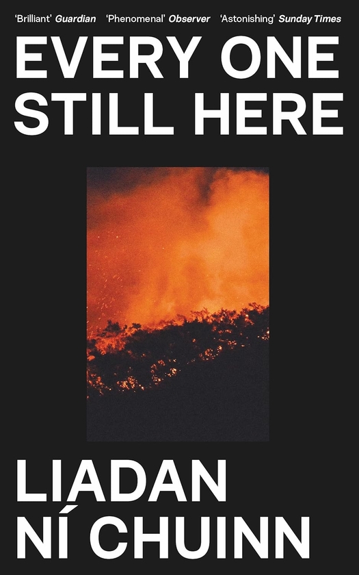 Бумажная книга «Every One Still Here», автор Лиадан Ни Чуин - фото №1