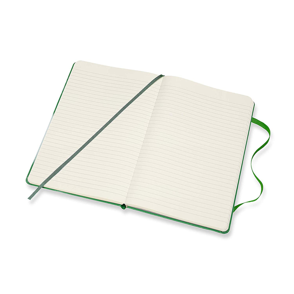  «Блокнот Moleskine Bob Dylan Линейка Зеленый (LEBDQP060A)», бренда Moleskine - фото №1