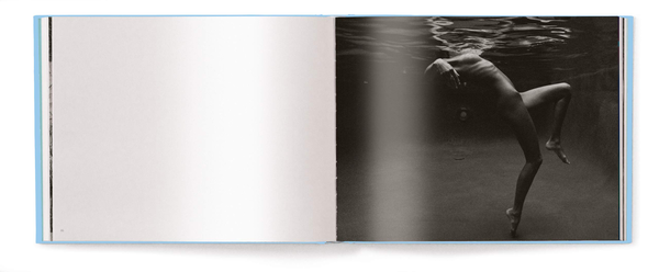 Бумажная книга «Nude», автор Стефан Раппо - фото №1